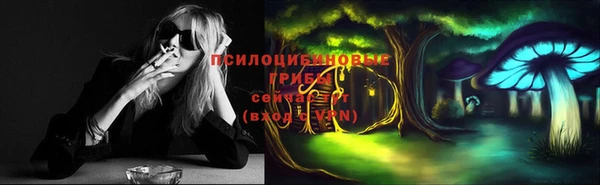 тгк Лагань