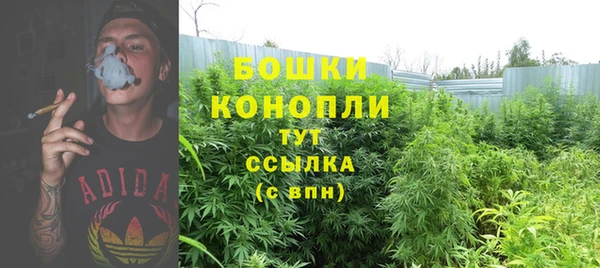 трава Ладушкин