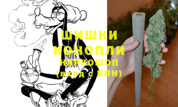 тгк Лагань