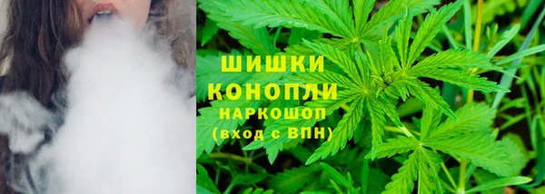 тгк Лагань